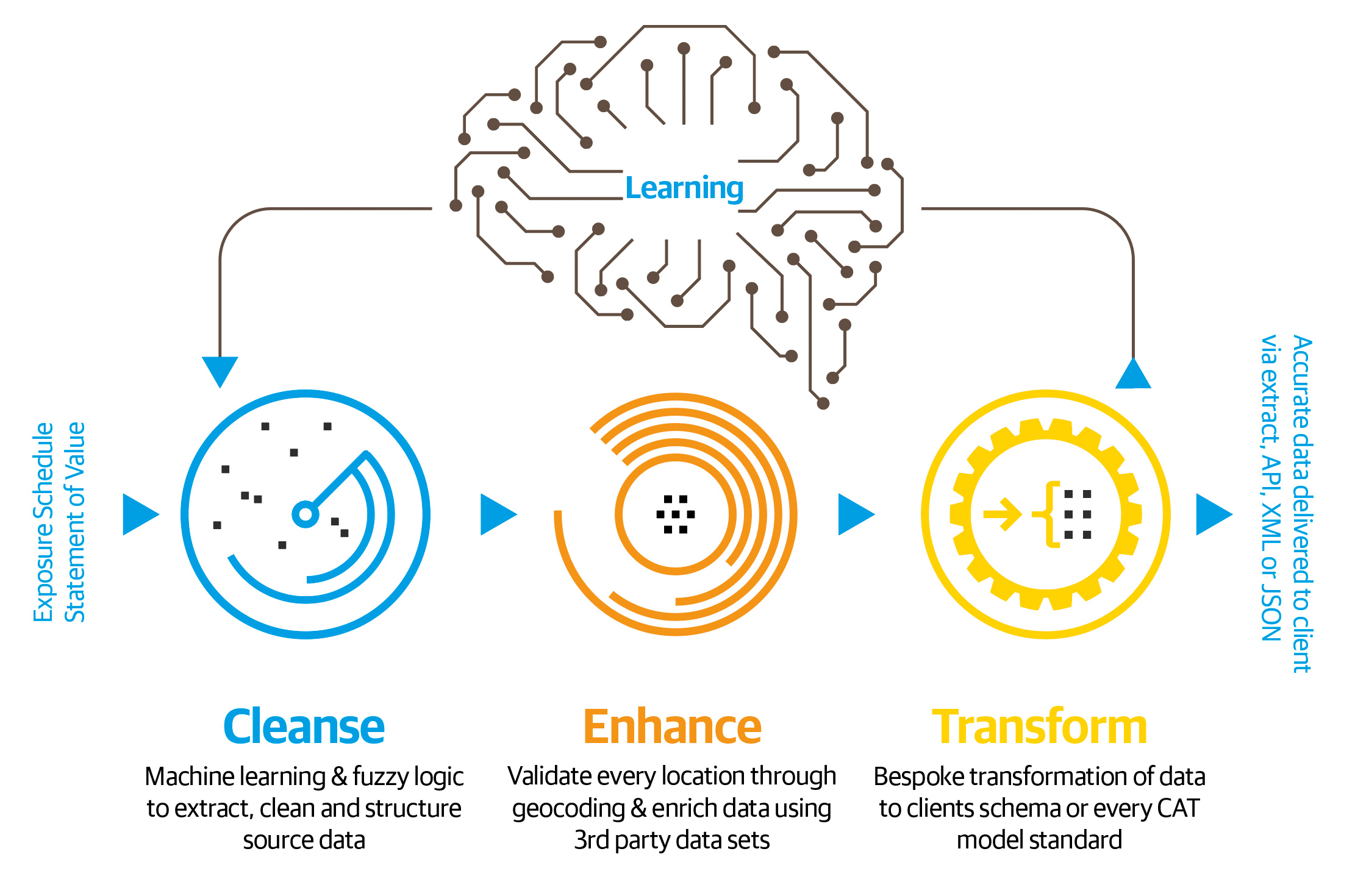 cleansing augmented intelligence diagram