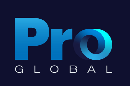 13 pro global. GLOBALPRO. Global Pro. Pro people. Версия: Global.